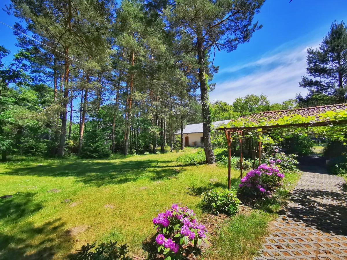 Farm stay Dom I Nad Tanwia Narol