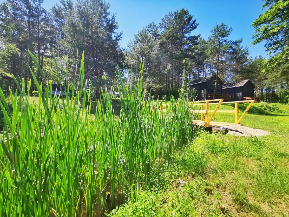 Farm stay Dom I Nad Tanwia